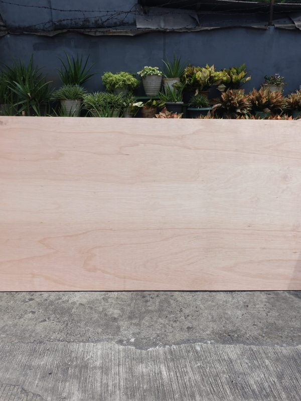 TOS WBP PLYWOOD
