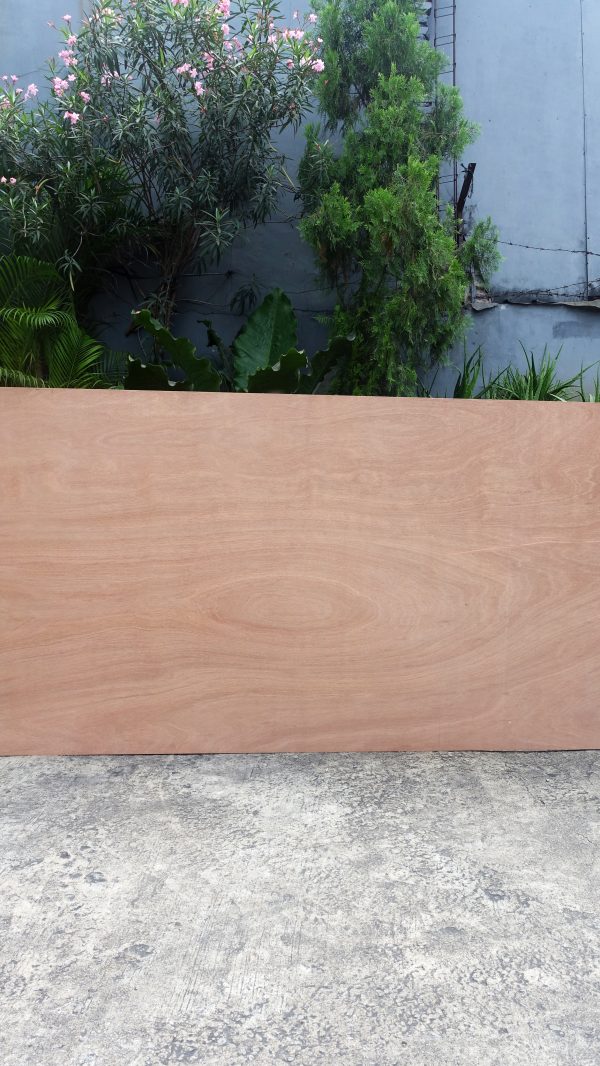 Signature Back TOS SIGNATURE PLYWOOD