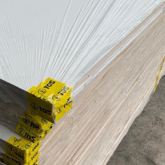 WhatsApp Image 2025-09-06 at 2.07.20 PM. TOS X SJSA BLOCK POLY